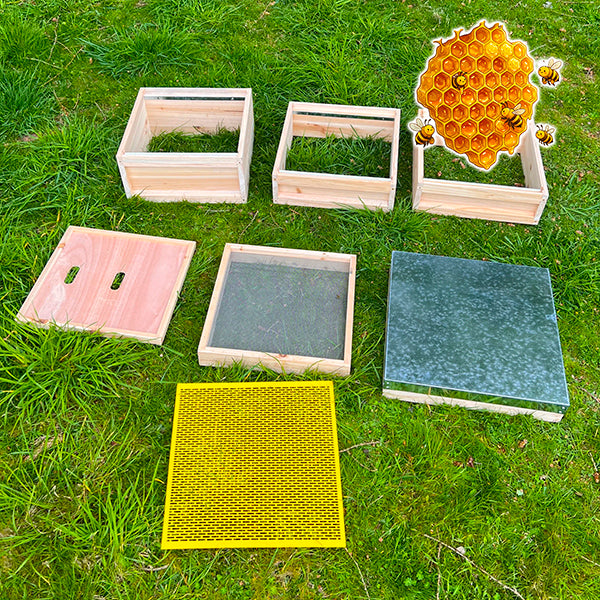 National Beehive x 1 - Complete Beehive with all frames and wax foundation - (pine)