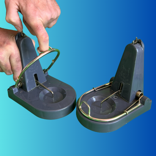 4x Black Cat Rat Traps - Genuine
