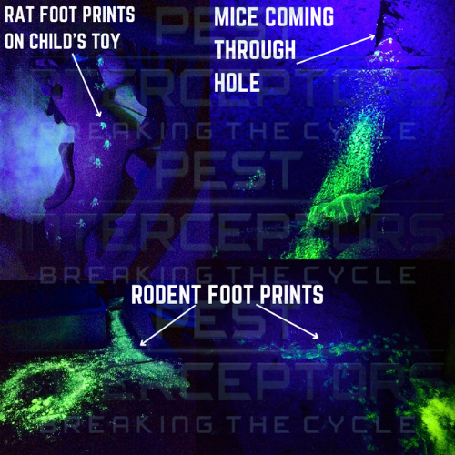 U.V. TRACKING DUST for RODENTS
