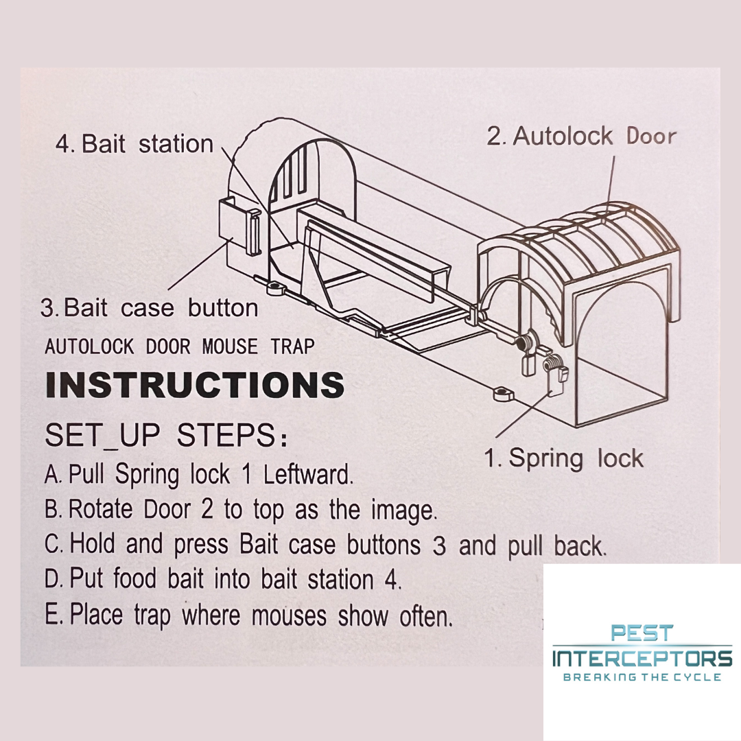 1  Pack Humane Live Capture Trap