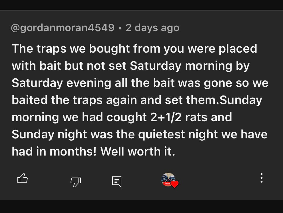 8x Black Cat Rat Traps - Genuine