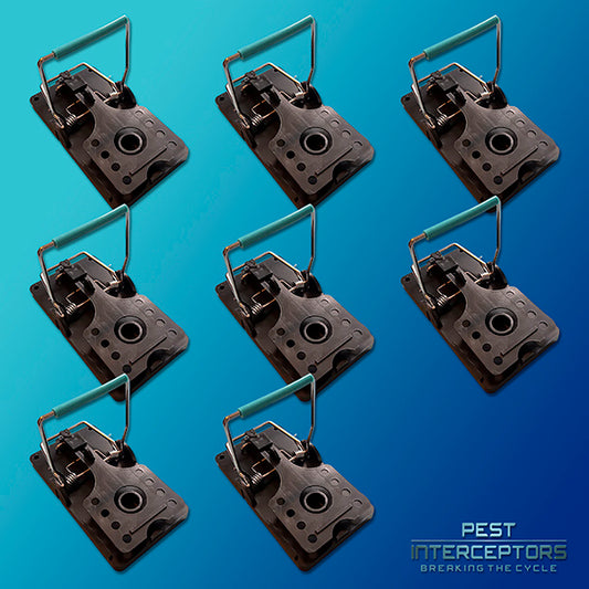 8 x Rat Traps - The Blue Bar Snap Back Rat Trap from Pest Interceptors!