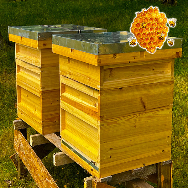 National Beehive x 1 - Complete Beehive with all frames and wax foundation - (pine)