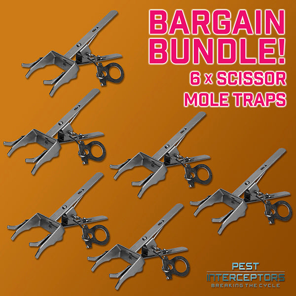 6 x Scissor Mole Traps HIGH QUALITY PROFESSIONAL TRAPS