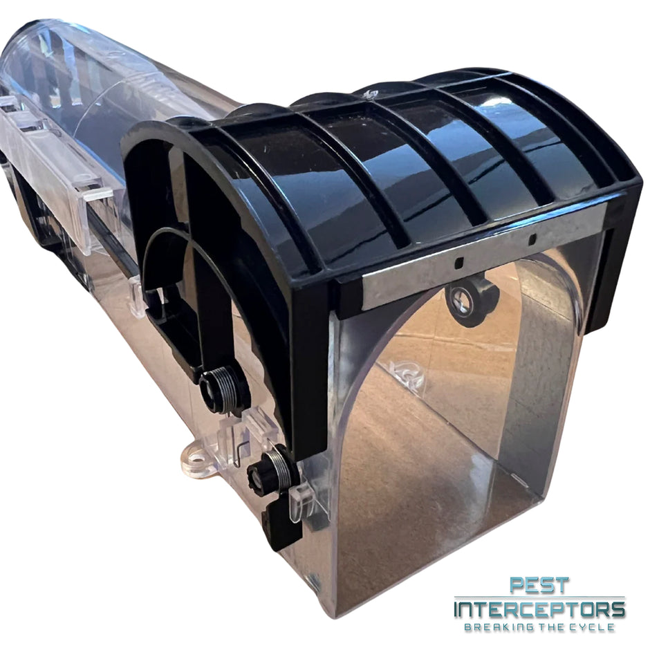 Mice Pest Control – PEST INTERCEPTORS