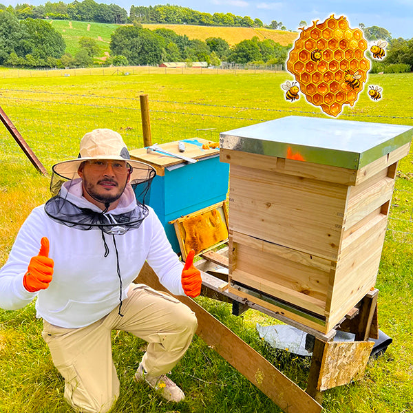 National Beehive x 1 - Complete Beehive with all frames and wax foundation - (pine)