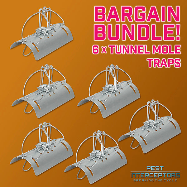 6 x Tunnel Mole Trap PRO USE - BARGAIN PACK OF 6