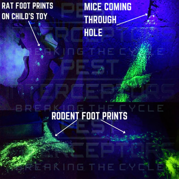 Tracking & Tracing – PEST INTERCEPTORS