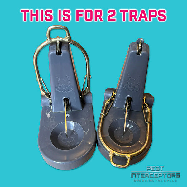 Pest Interceptors - 2 Pack Heavy Duty 'L' Shape NANO, Tombstone Traps, Reusable Easy To Set and Use for Rats & Mice