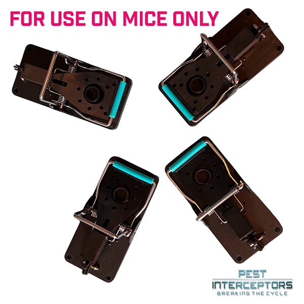 4 x Mouse Traps - The Blue Bar Snap Back Trap from Pest Interceptors!