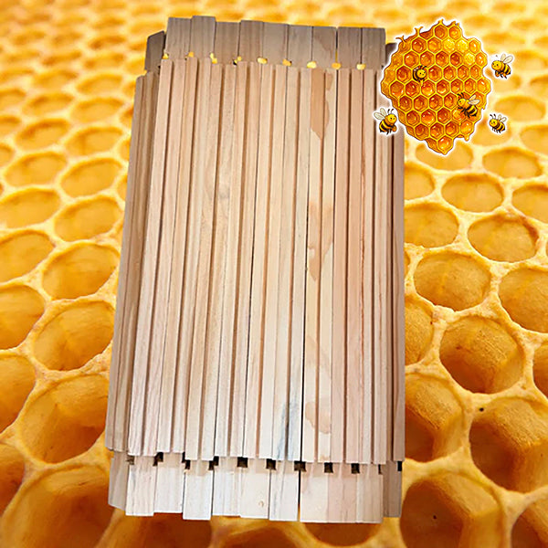 National DN4 Brood + SN4 Super Frames with Wired Beeswax Foundation – Assembly Pack