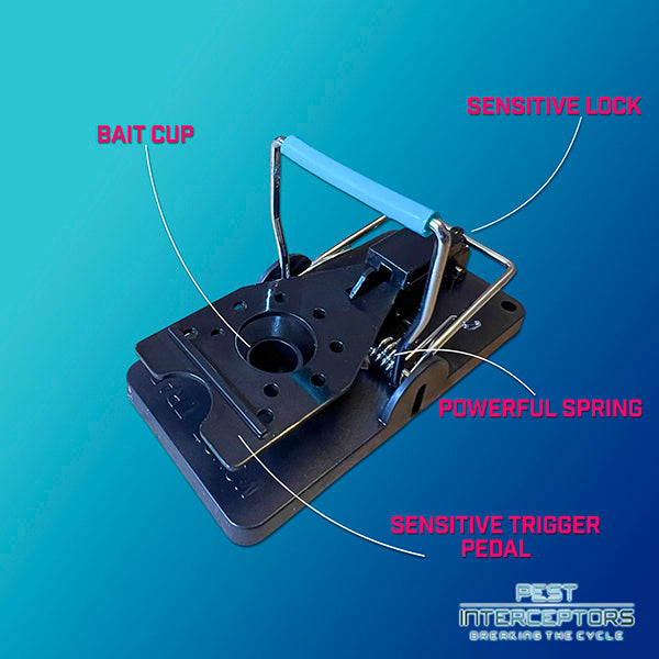 2 x Mouse traps - The Blue Bar Snap Back Trap from Pest Interceptors!