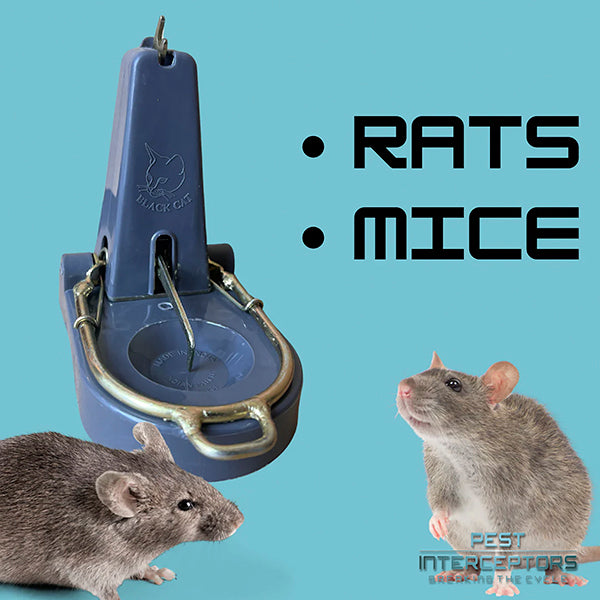 Pest Interceptors - 2 Pack Heavy Duty 'L' Shape NANO, Tombstone Traps, Reusable Easy To Set and Use for Rats & Mice