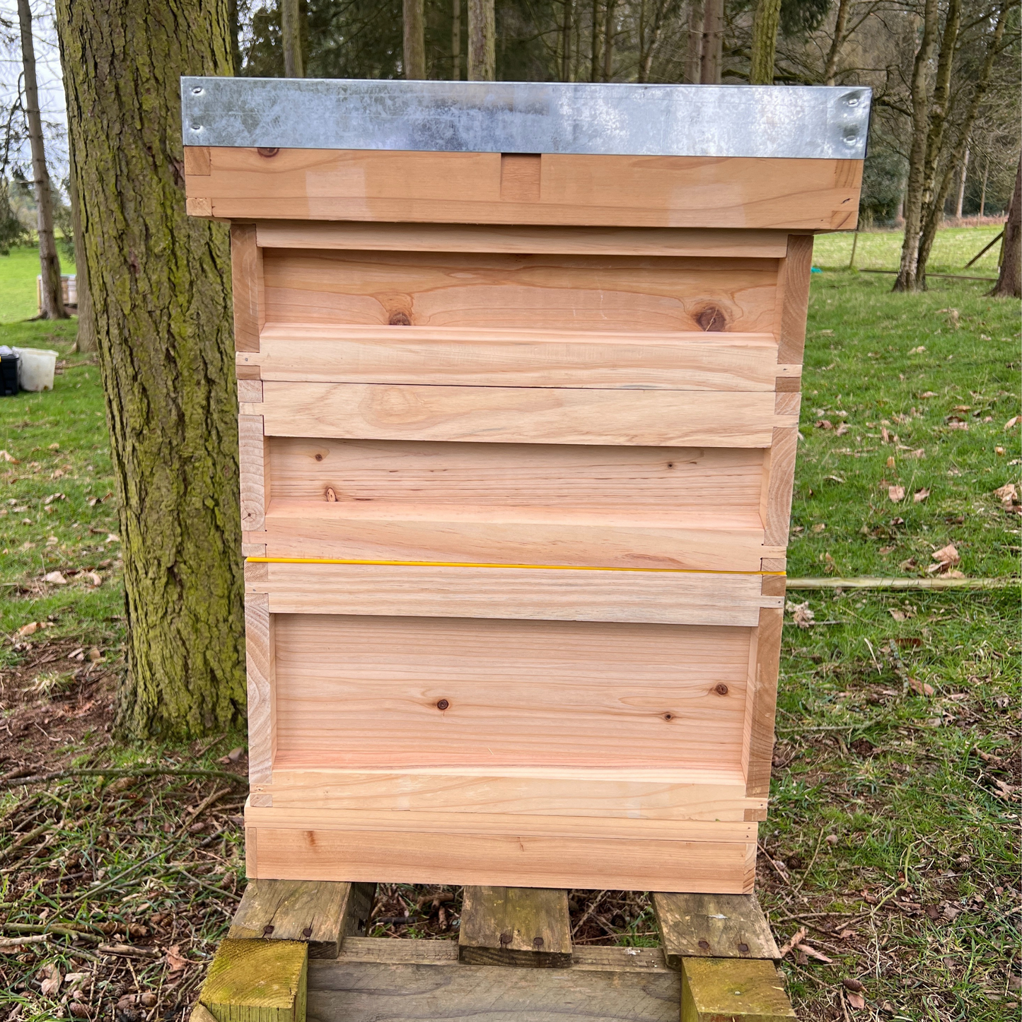 National Bee Hive x1 - complete bee hive with all frames and wax foundation - (pine)