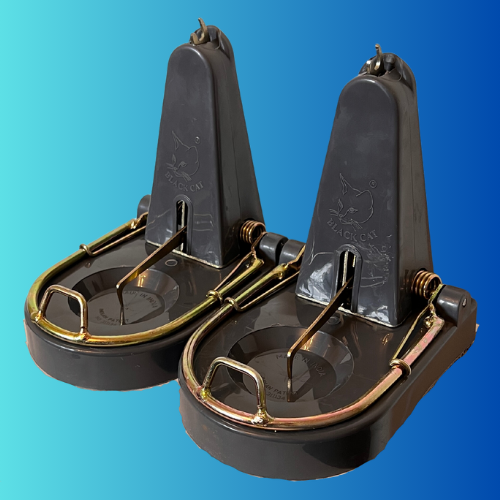2 x Black Cat Rat Trap - Genuine