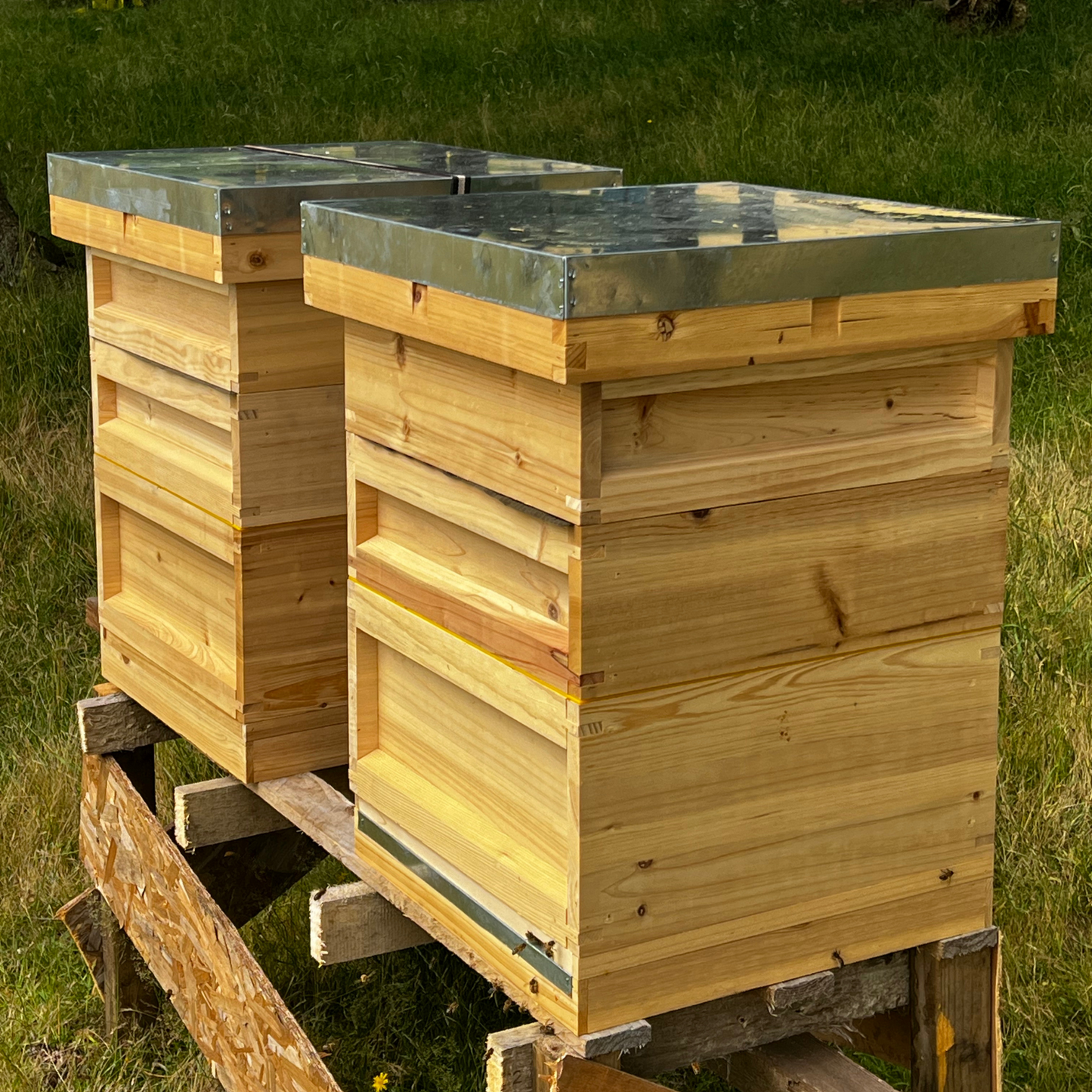 National Bee Hive x1 - complete bee hive with all frames and wax foundation - (pine)