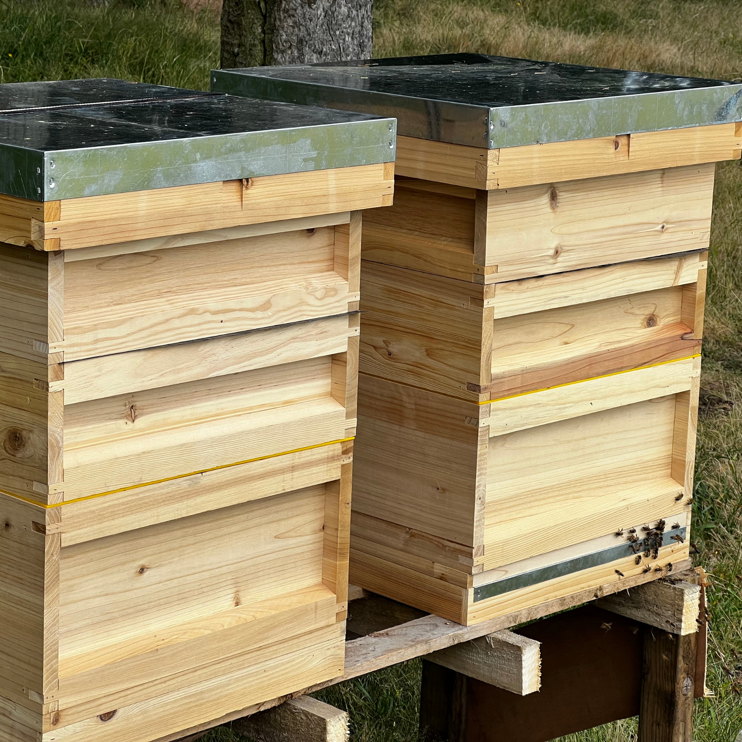 National Bee Hive x1 - complete bee hive with all frames and wax foundation - (pine)