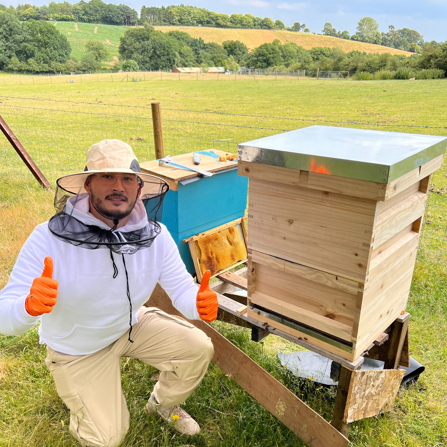 National Bee Hive x1 - complete bee hive with all frames and wax foundation - (pine)