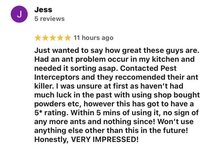 ADVANCED INSECT KILLER 1 Litre + 3 active ingredients including an IGR! By Pest Interceptors (1 bottle)