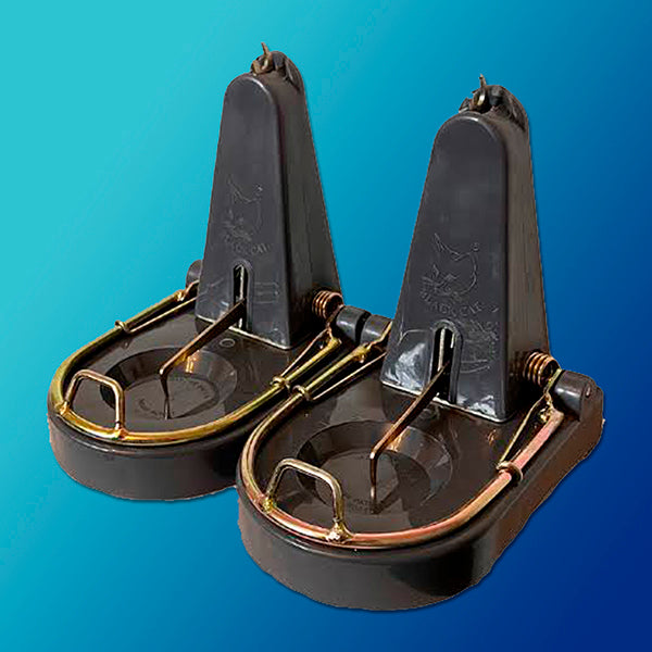 2 x Black Cat Rat Trap - Genuine