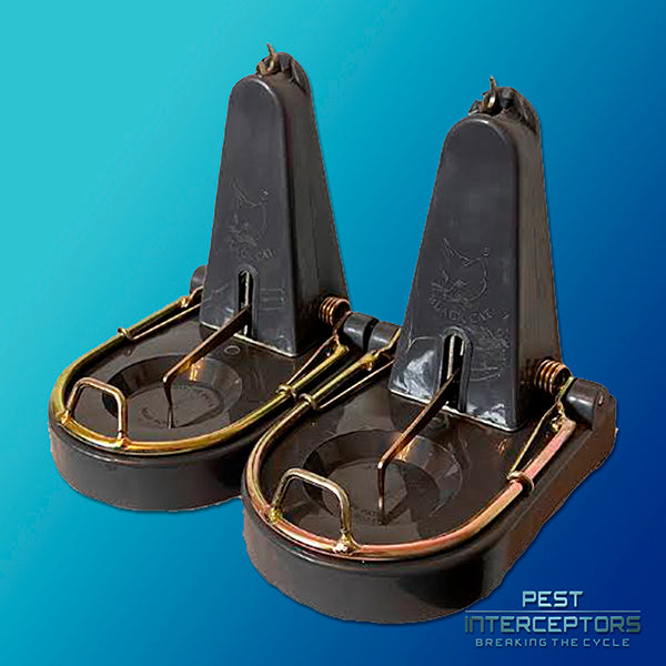 2 x Black Cat Rat Trap - Genuine