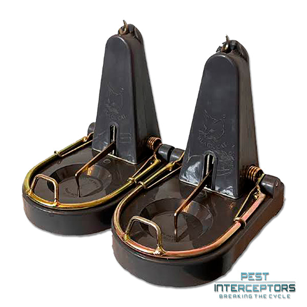 2 x Black Cat Rat Trap - Genuine