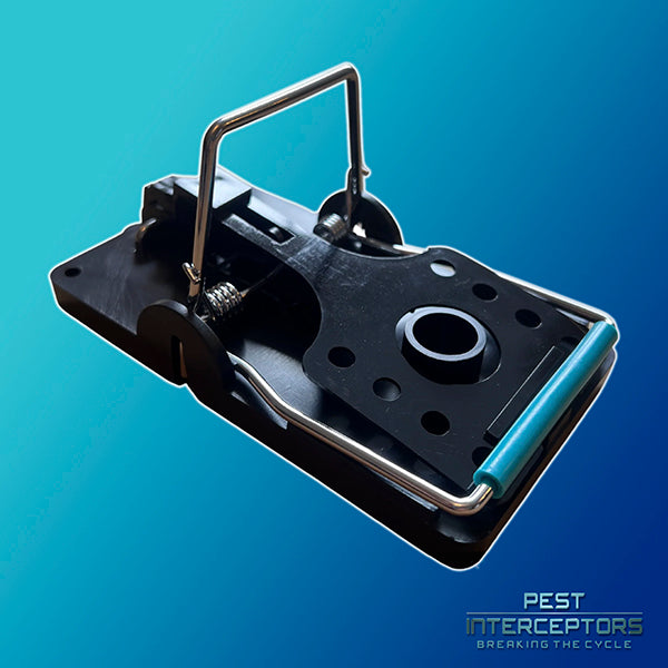 4 x Rat Traps - The Blue Bar Snap Back Rat Trap from Pest Interceptors!