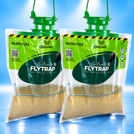 Non-Toxic Fly Trap 2 Pack - For use on farm buildings, animal housing, livestock pens, gardens, waste areas and industrial sites.
